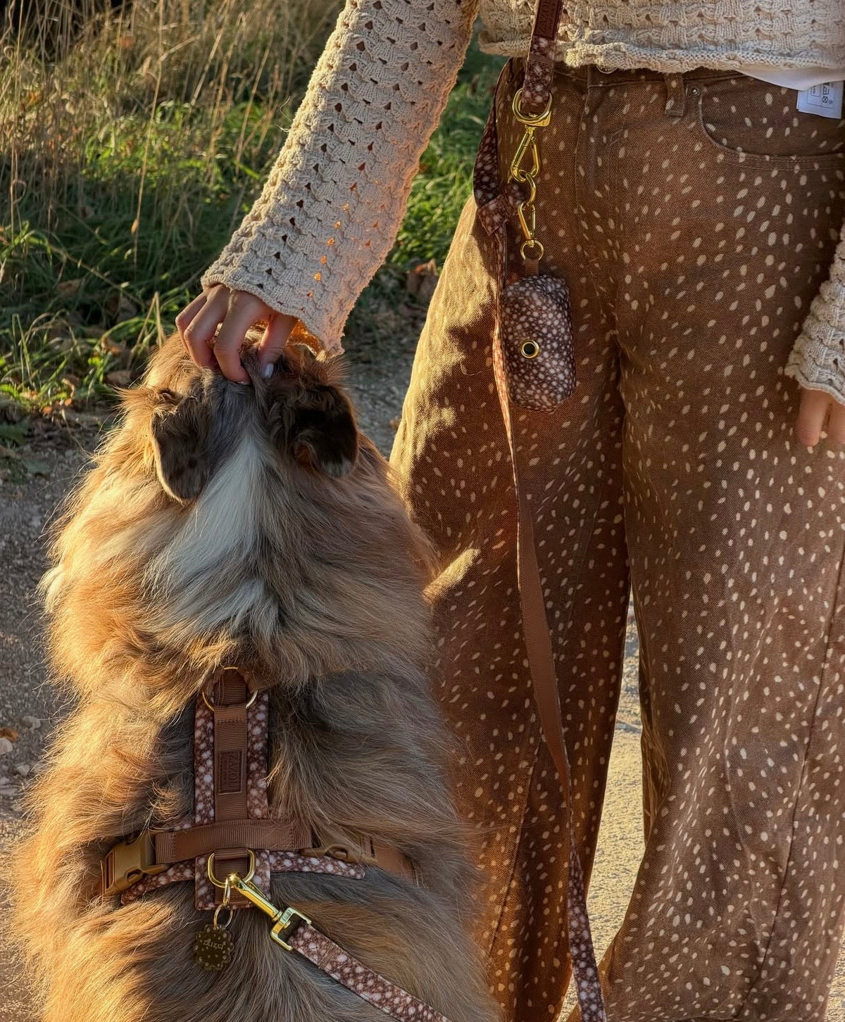 Dog Harness Bambi