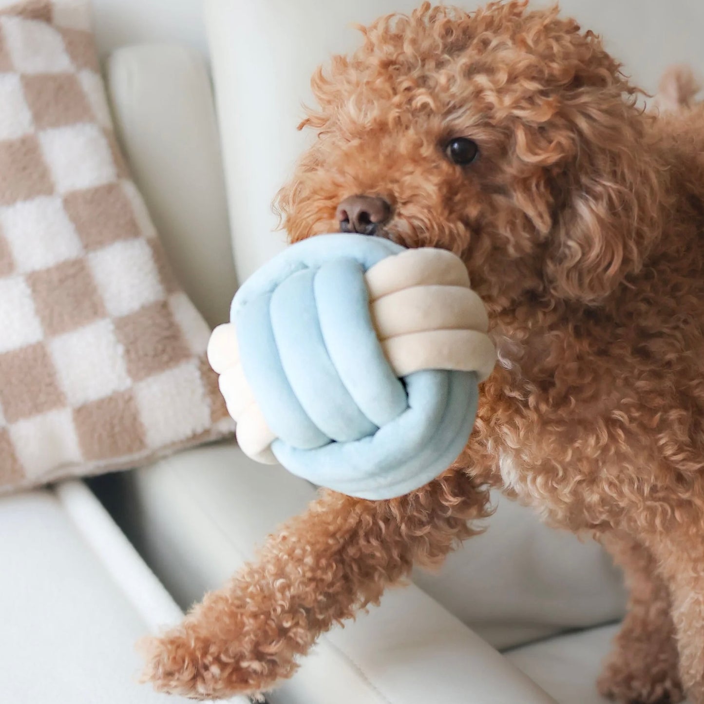 Snuffle Knot Nosework Toy