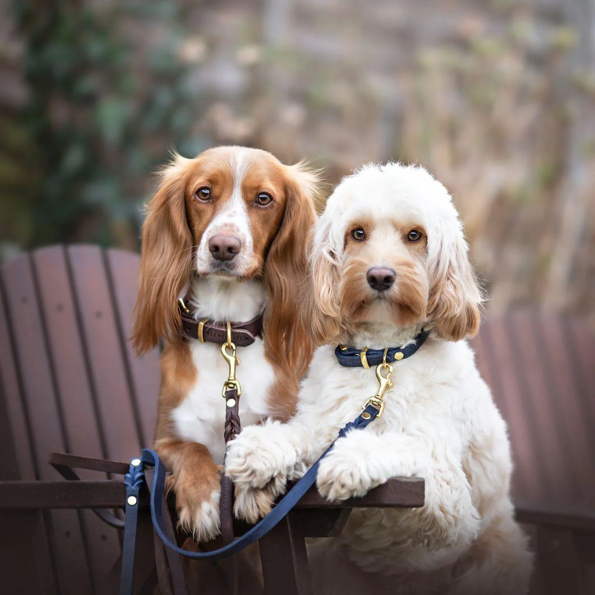 Butter leather dog collar Navy Blue