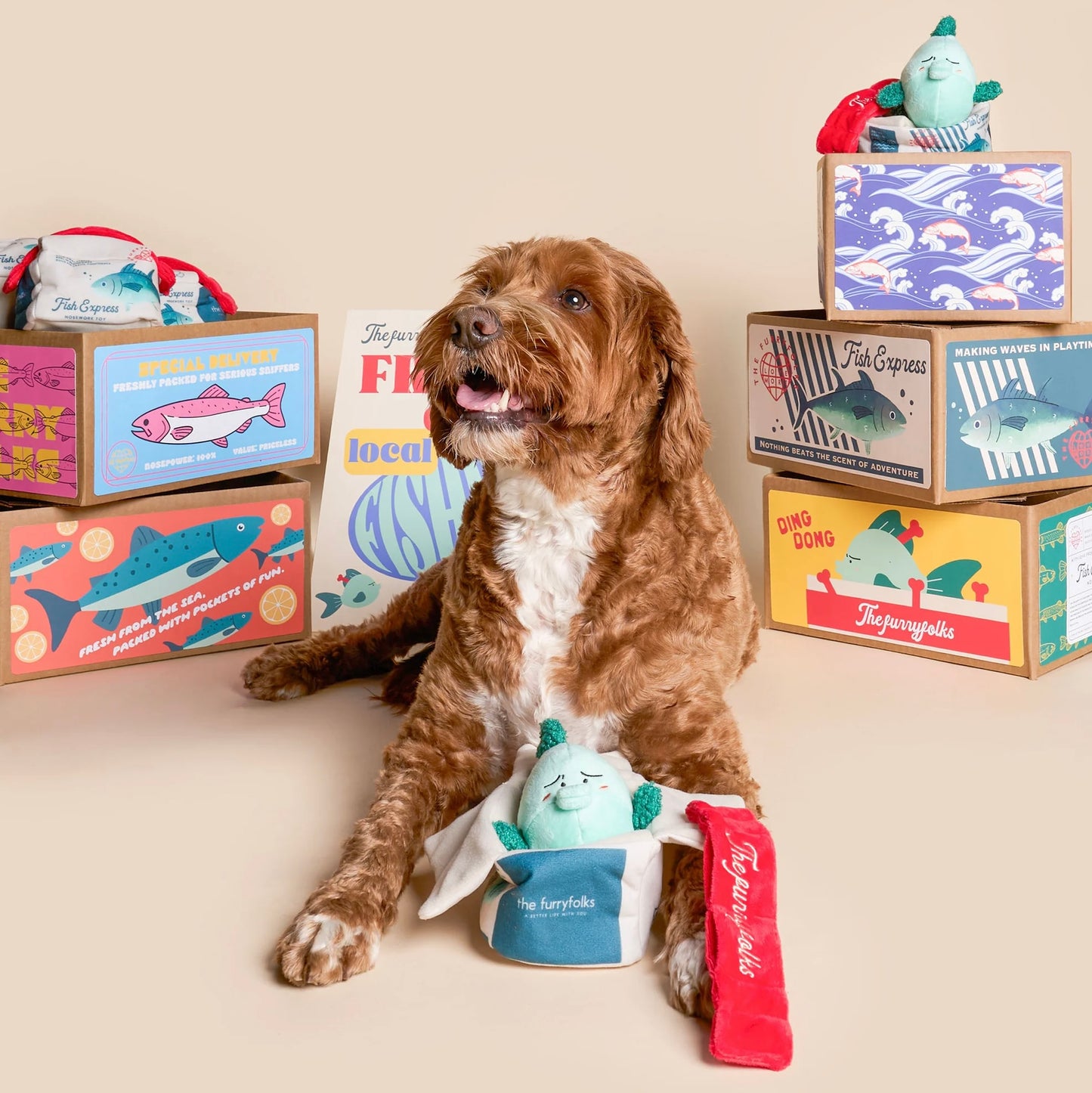 Fish Express Nosework Toy