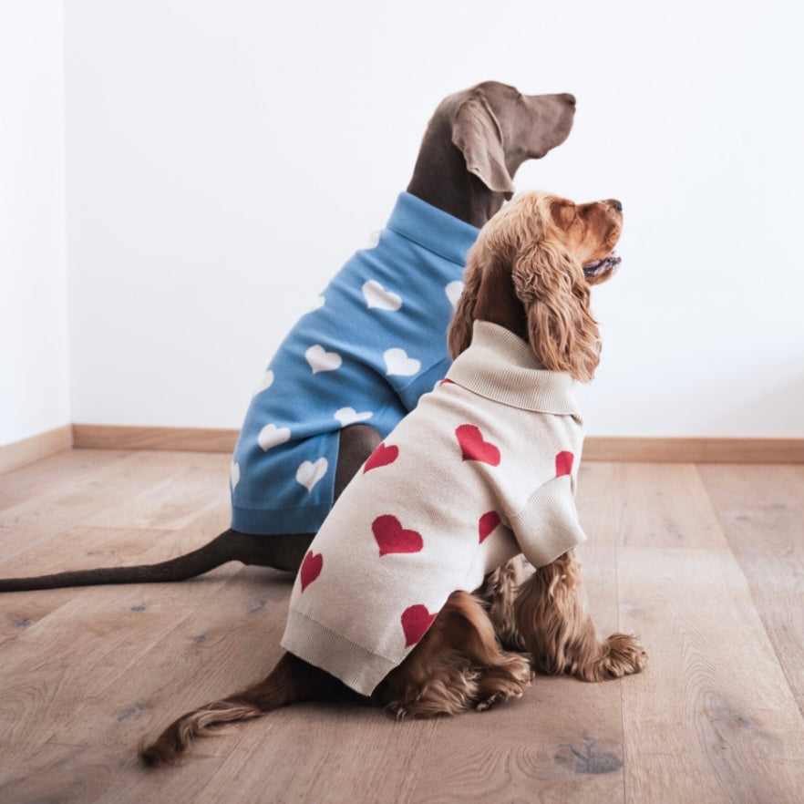 Knitted dog sweater with hearts beige