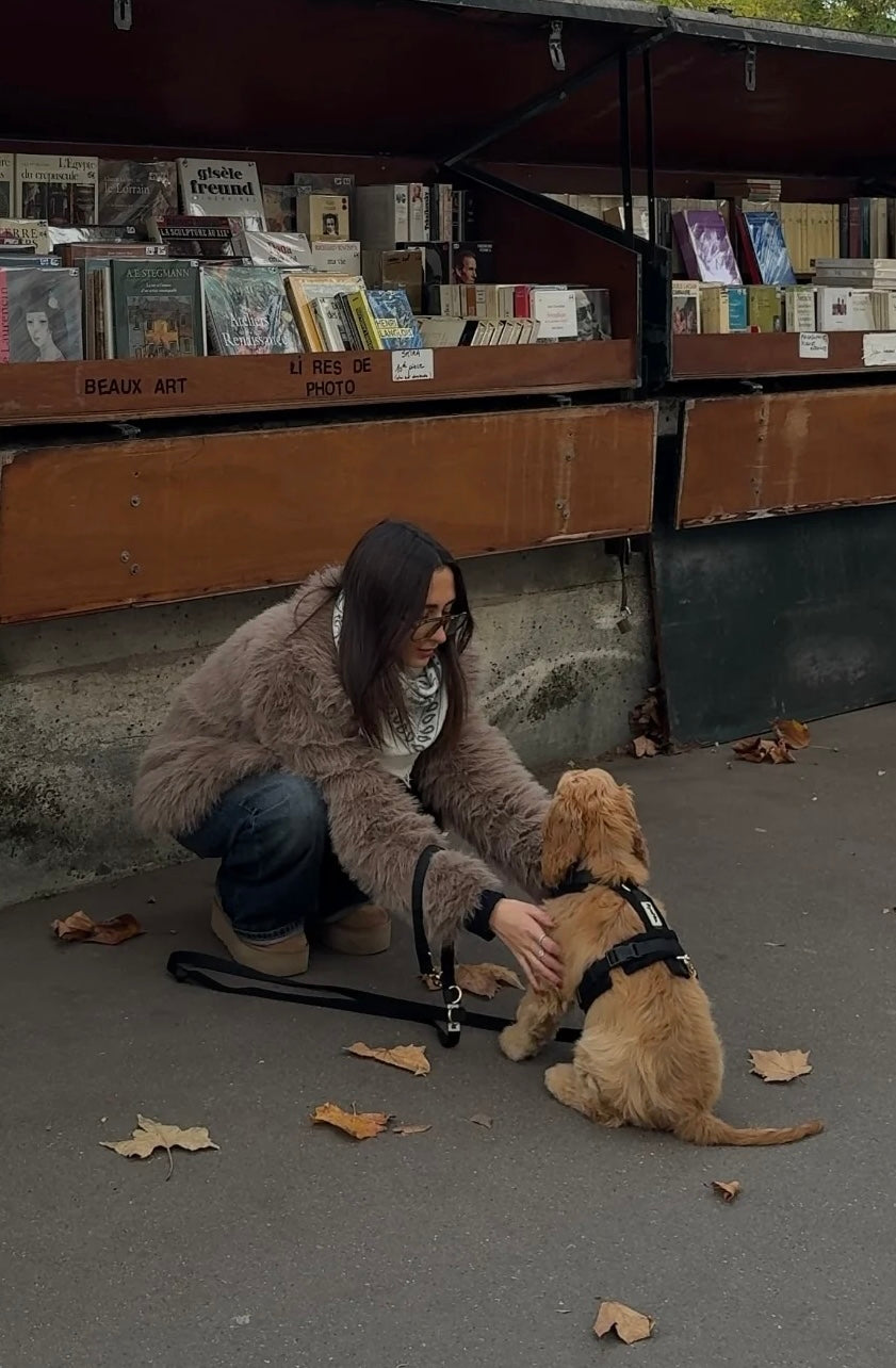 Soft Ribbed Velour Y-Design Dog Harness Black