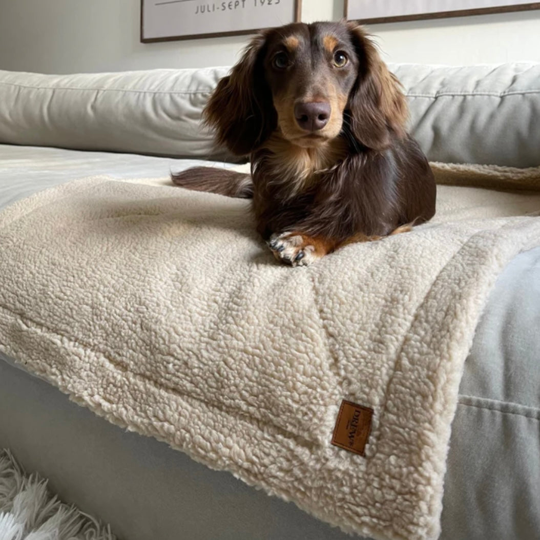 Soft dog blanket in teddy fleece beige