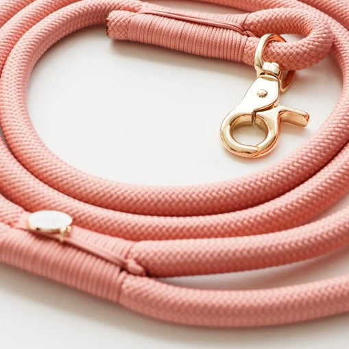 Hands Free Braided Leash Rose