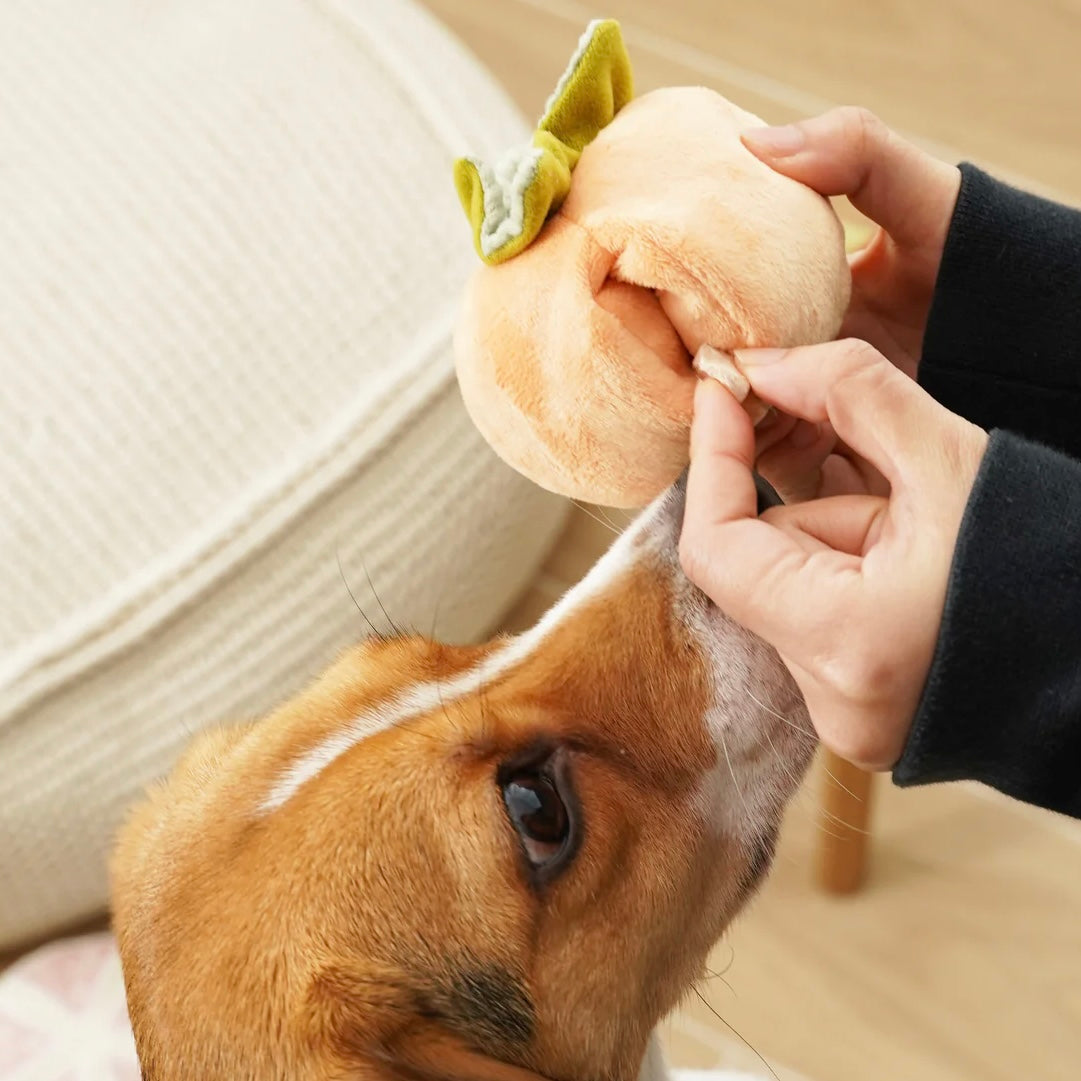 Persimmon snuffle dog toy