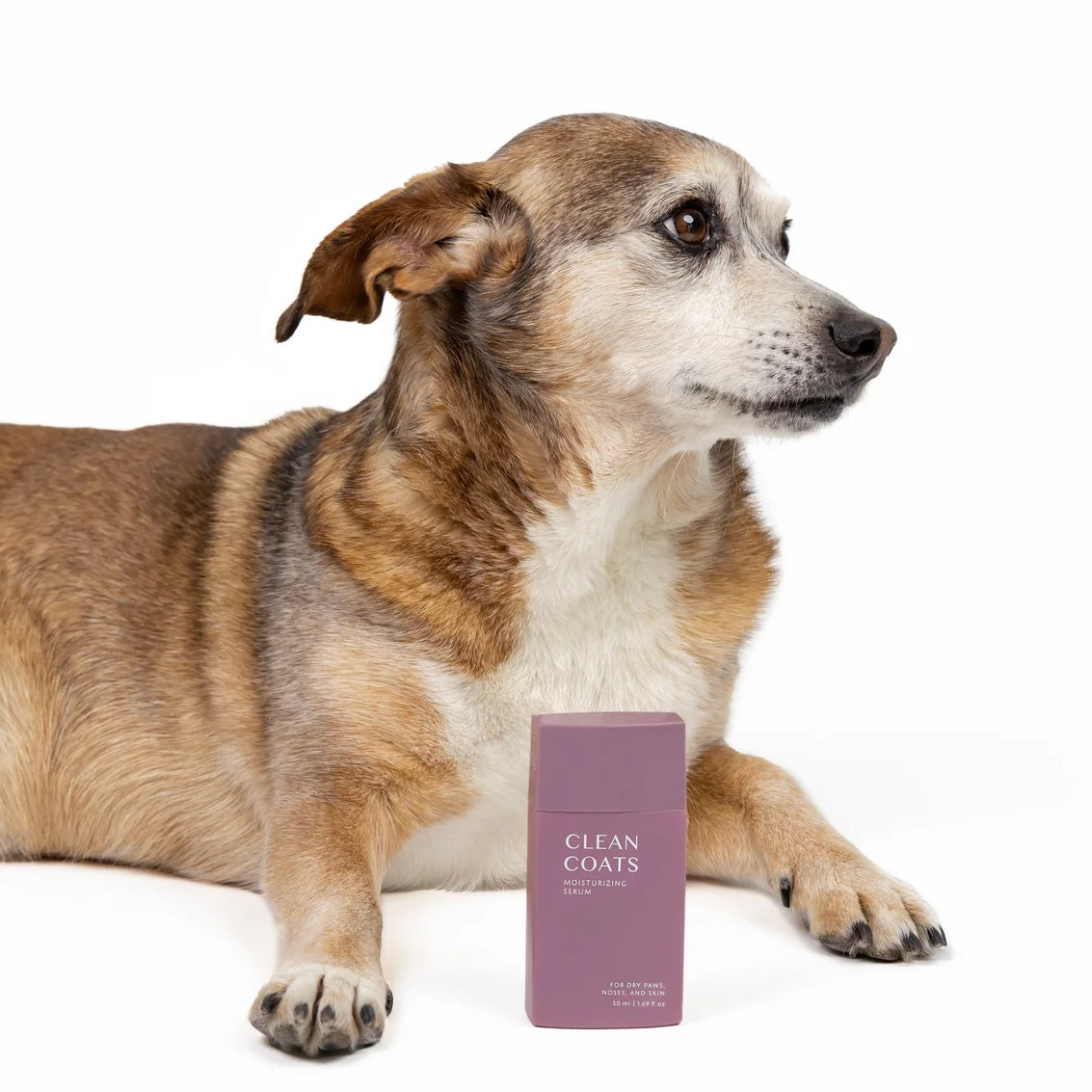 Moisturizing Serum for Paws and Nose