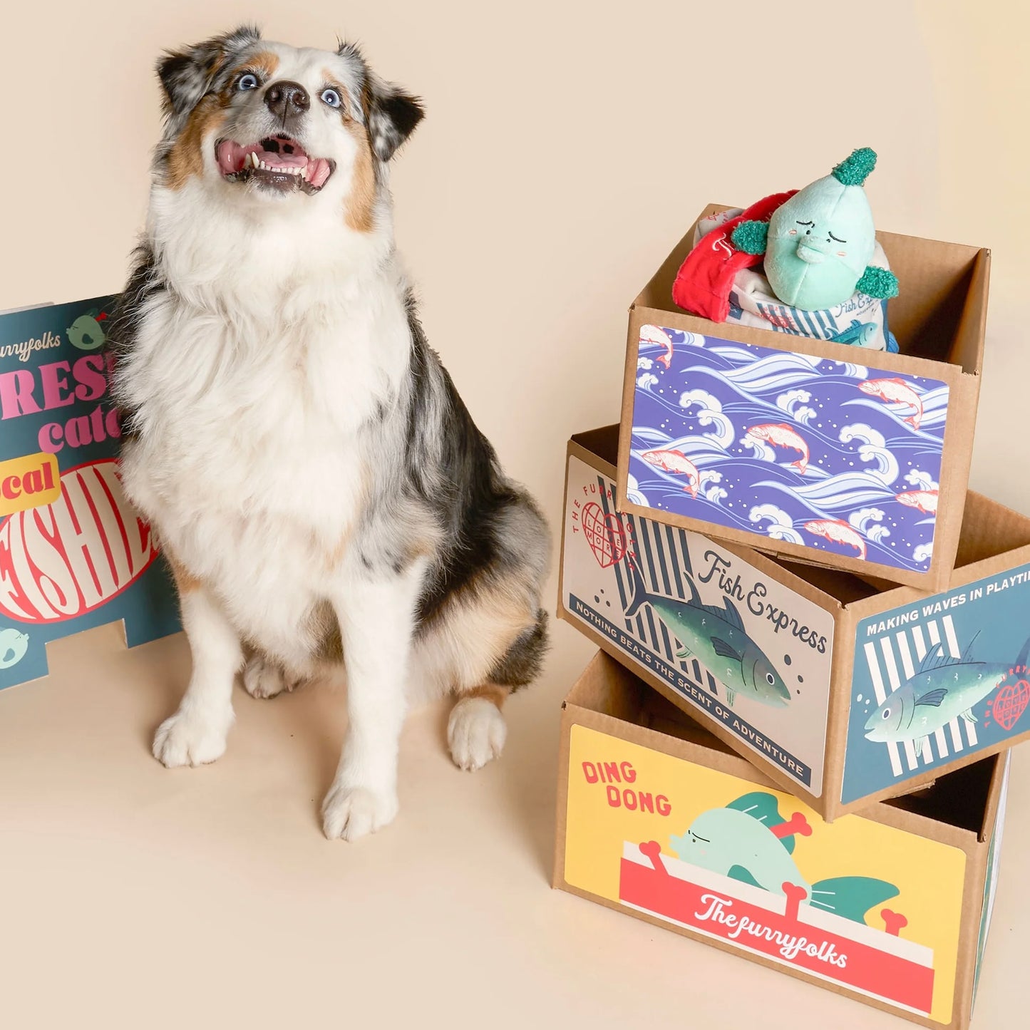 Fish Express Nosework Toy