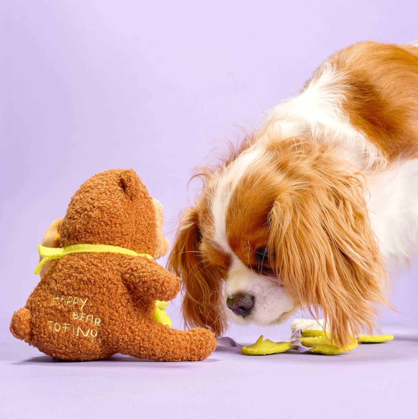 Happy Bear Tofino Nosework Toy
