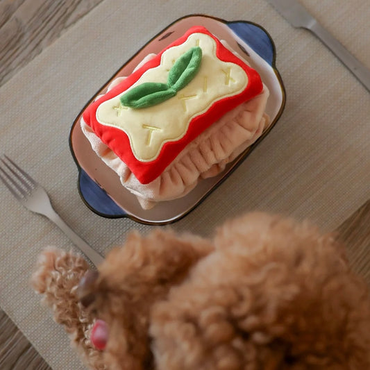 Lasagna Nosework Toy