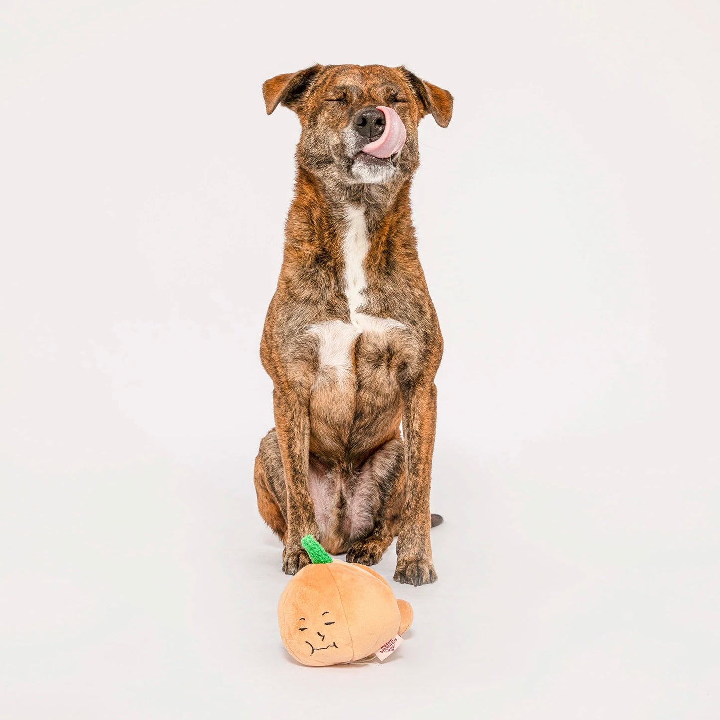 Yellow Onion Nosework Toy