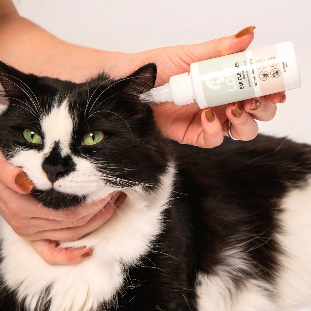 Natural Ear cleaner for dogs and cats