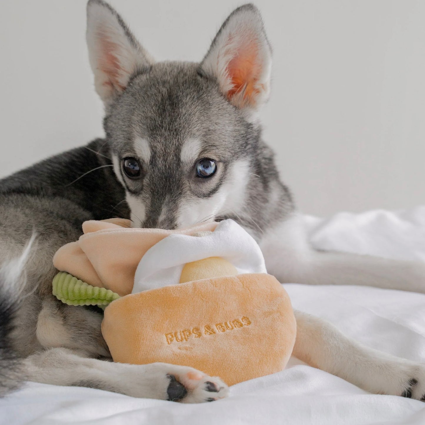 Pita Pocket Nosework Toy