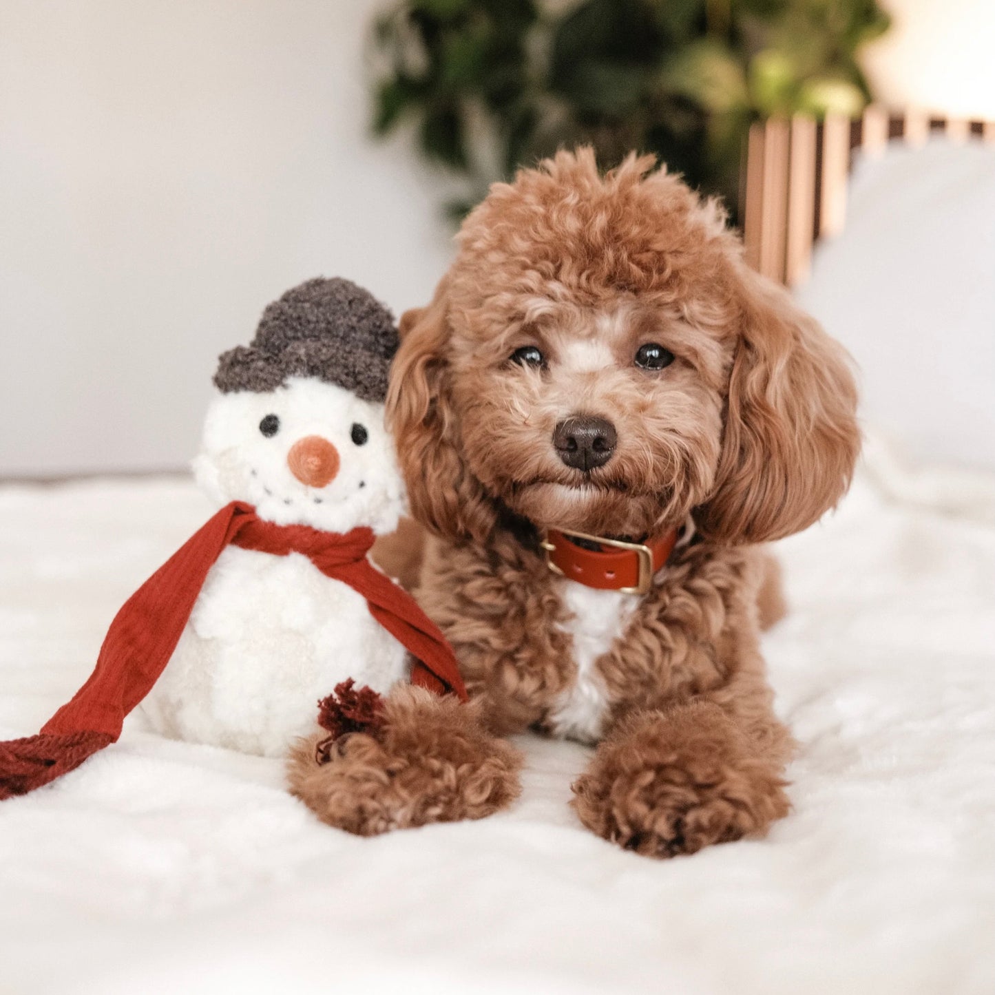 Snowman Dog toy