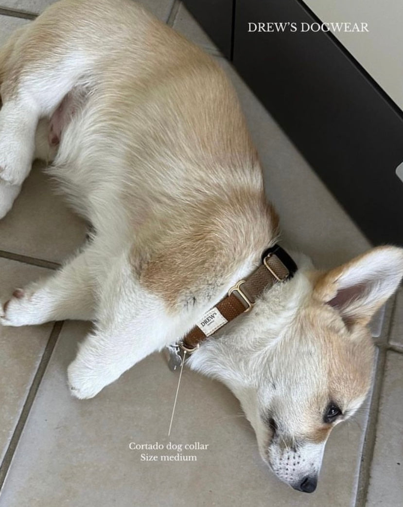 Cortado Dog Collar beige/brown