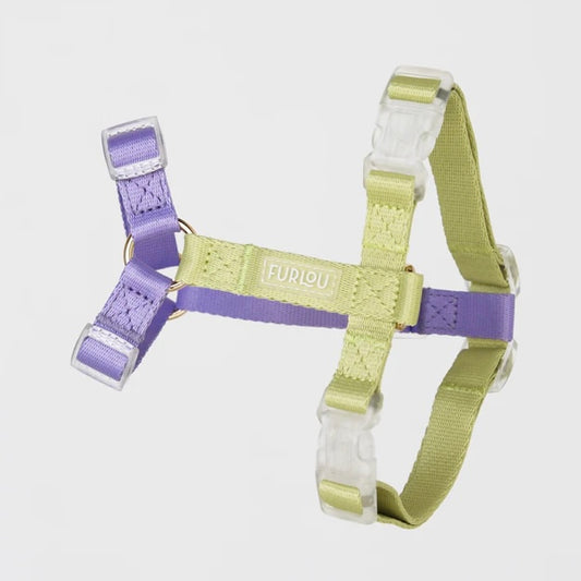 Lavender and Lime Dog Harness