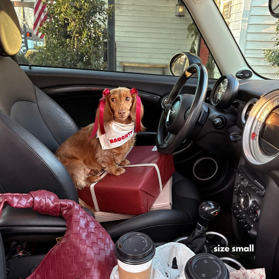 PRE ORDER Christmas dog bandana naughty nice