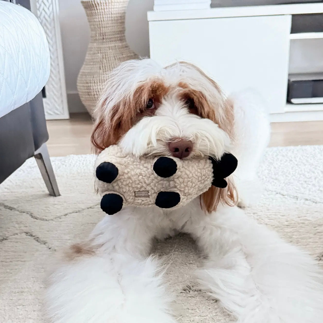 Dolly Lampy Squeaker Toy