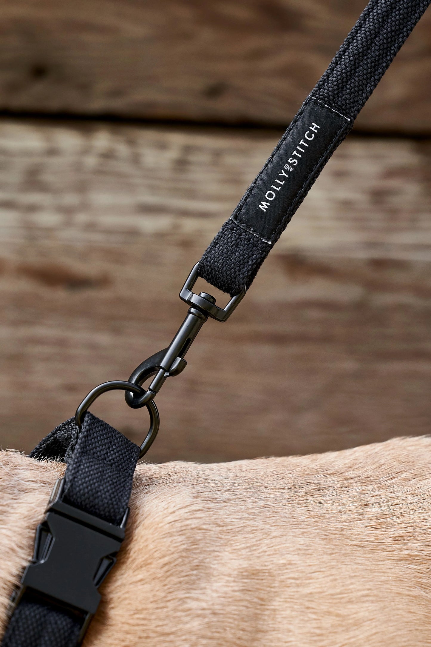 Soft rock city leash Black