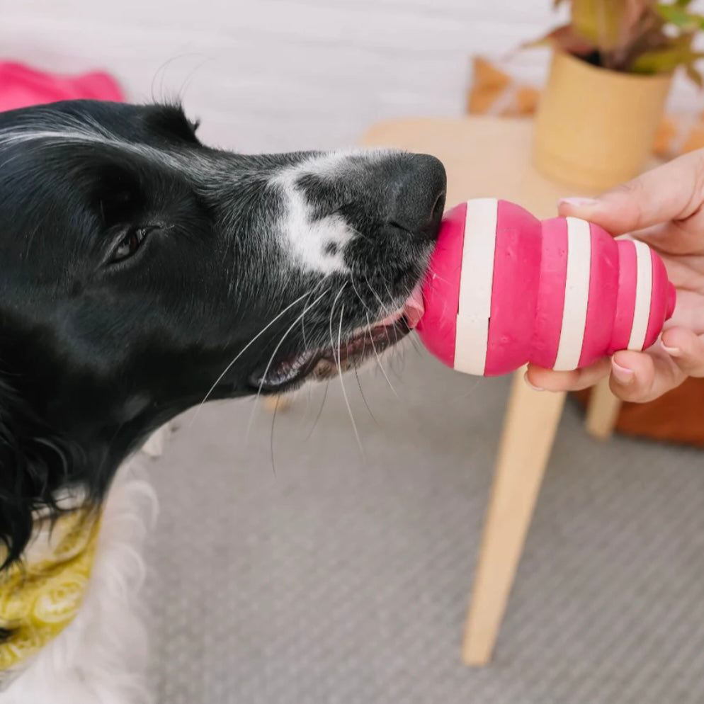 The Bubble Feeder