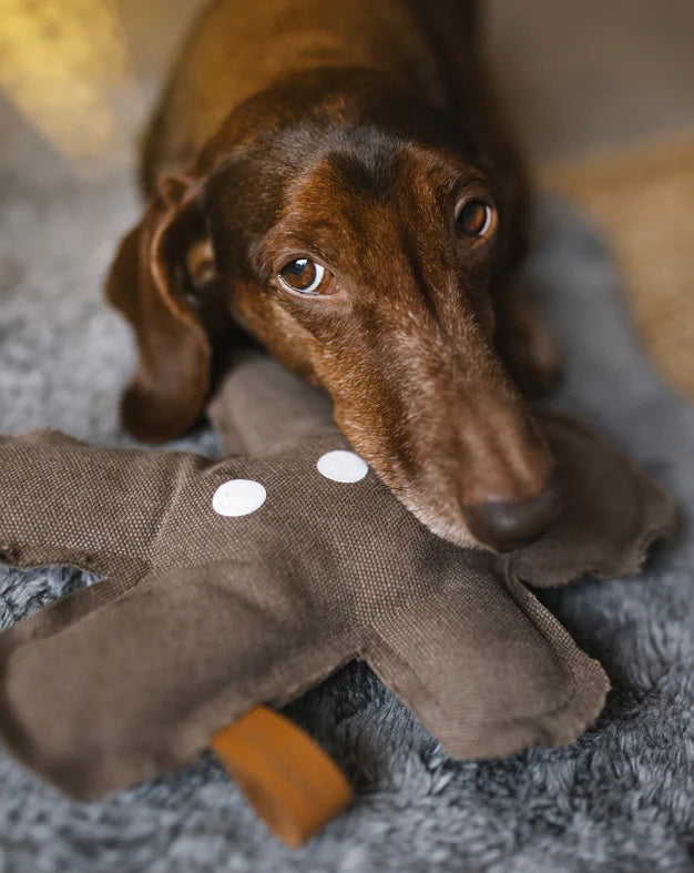 Handmade Gingerbread toy