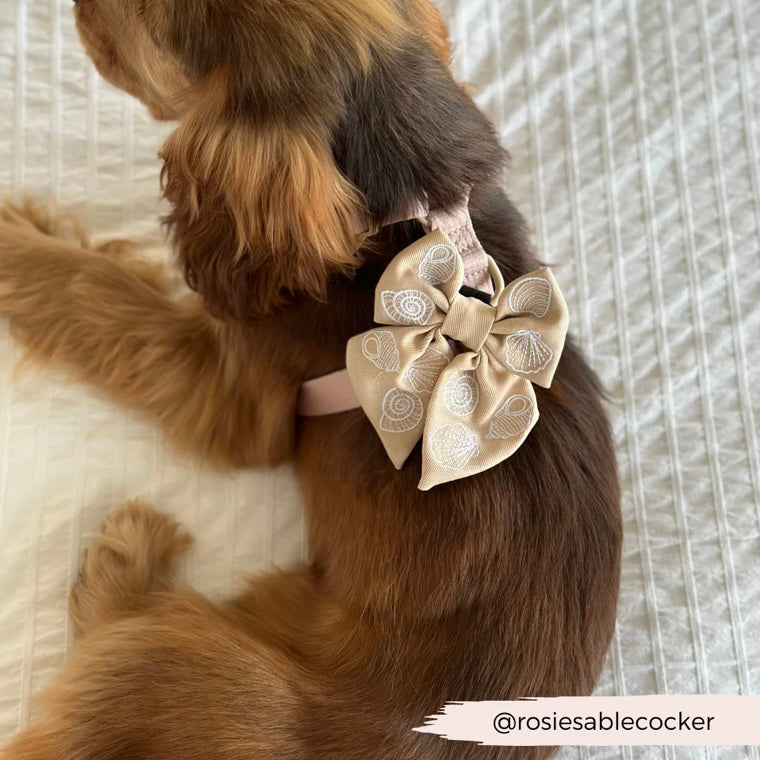 Luxe Seashells Sailor Bow tie