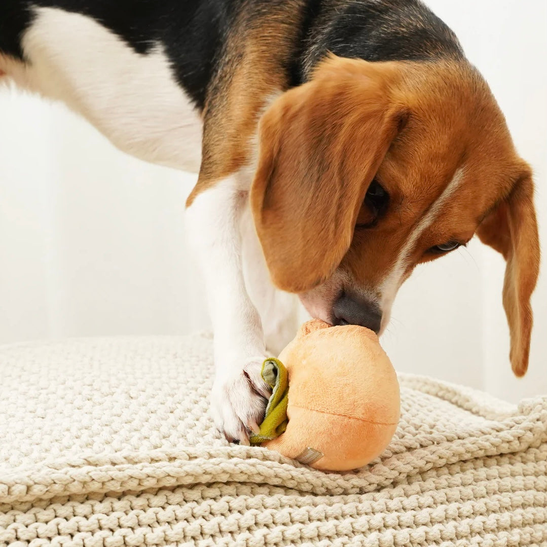 Persimmon snuffle dog toy