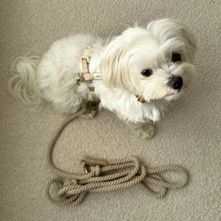 Adjustable and soft dog leash Beige