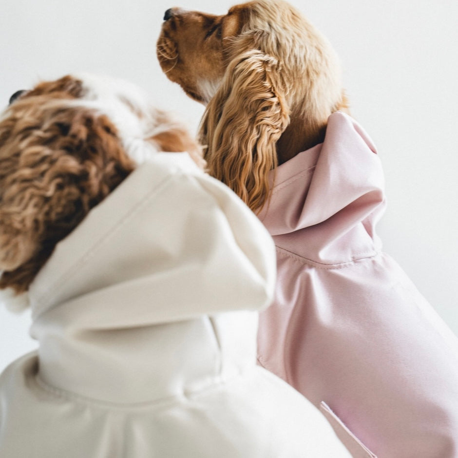 Dog Raincoat beige