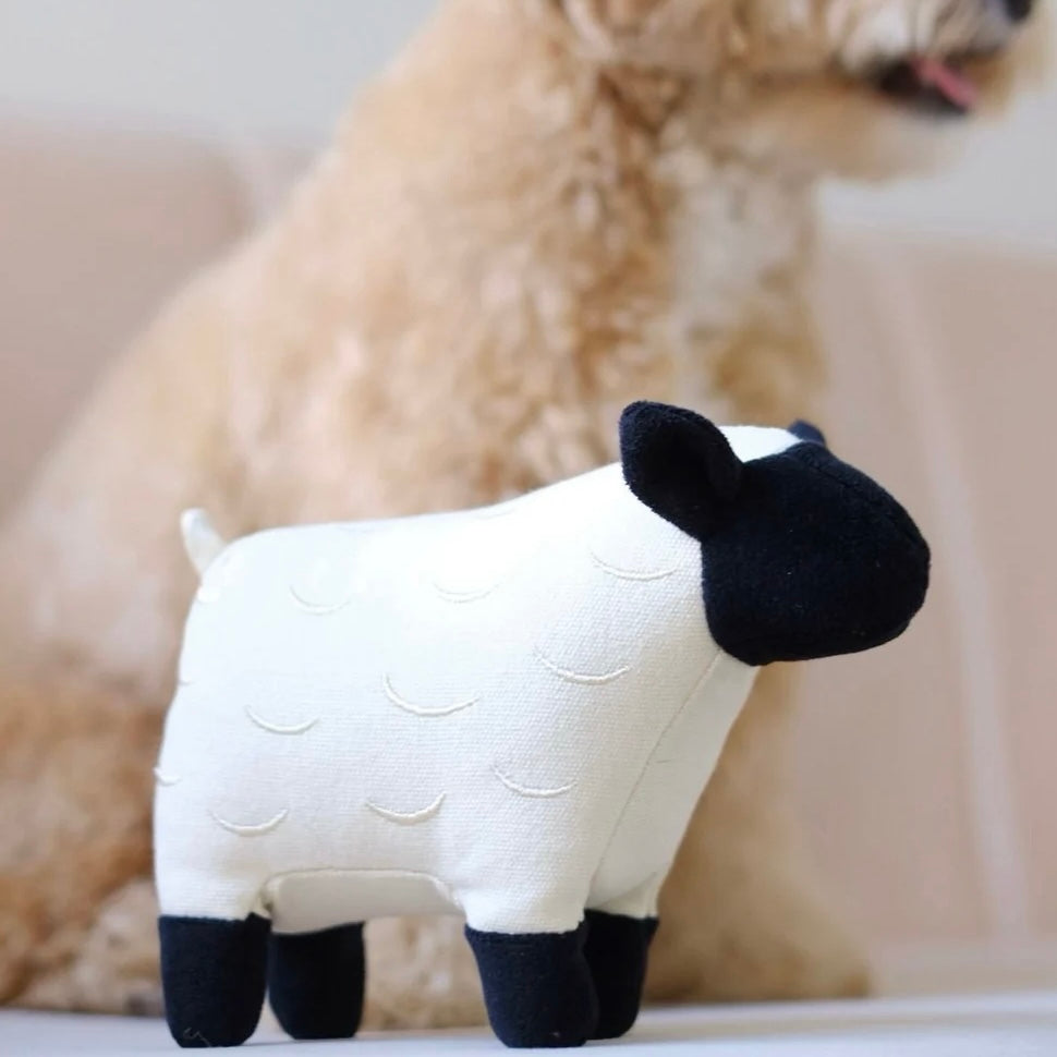 Dolly sheep toy