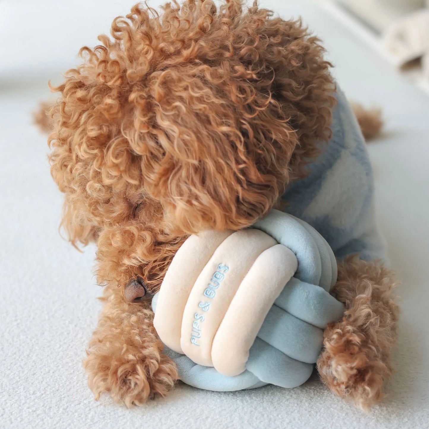 Snuffle Knot Nosework Toy