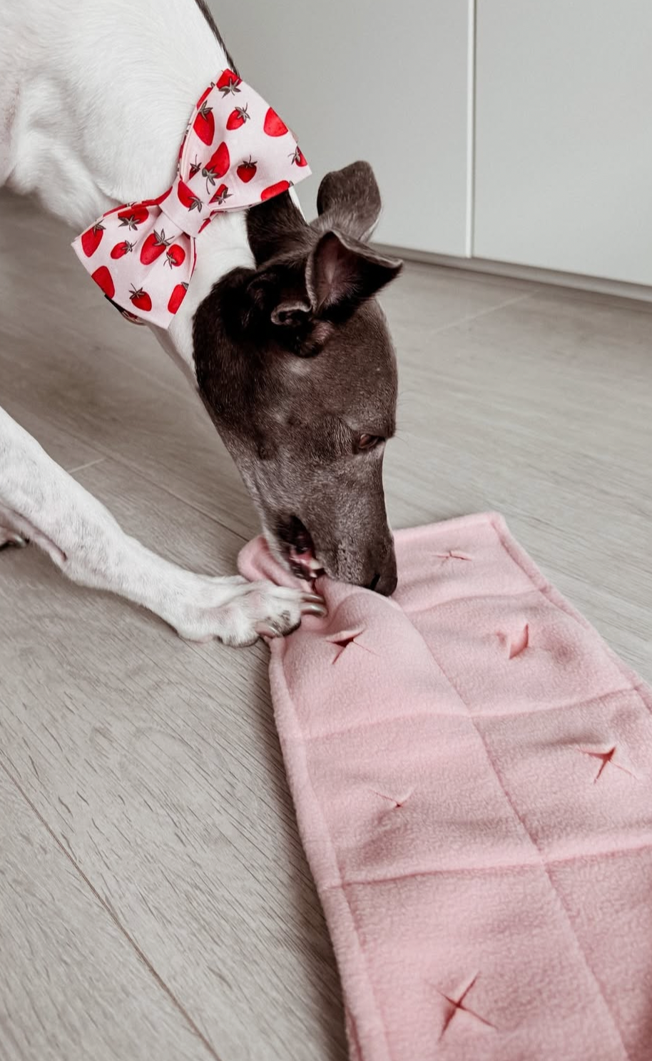 Strawberry Roll Cake Snuffle Toy