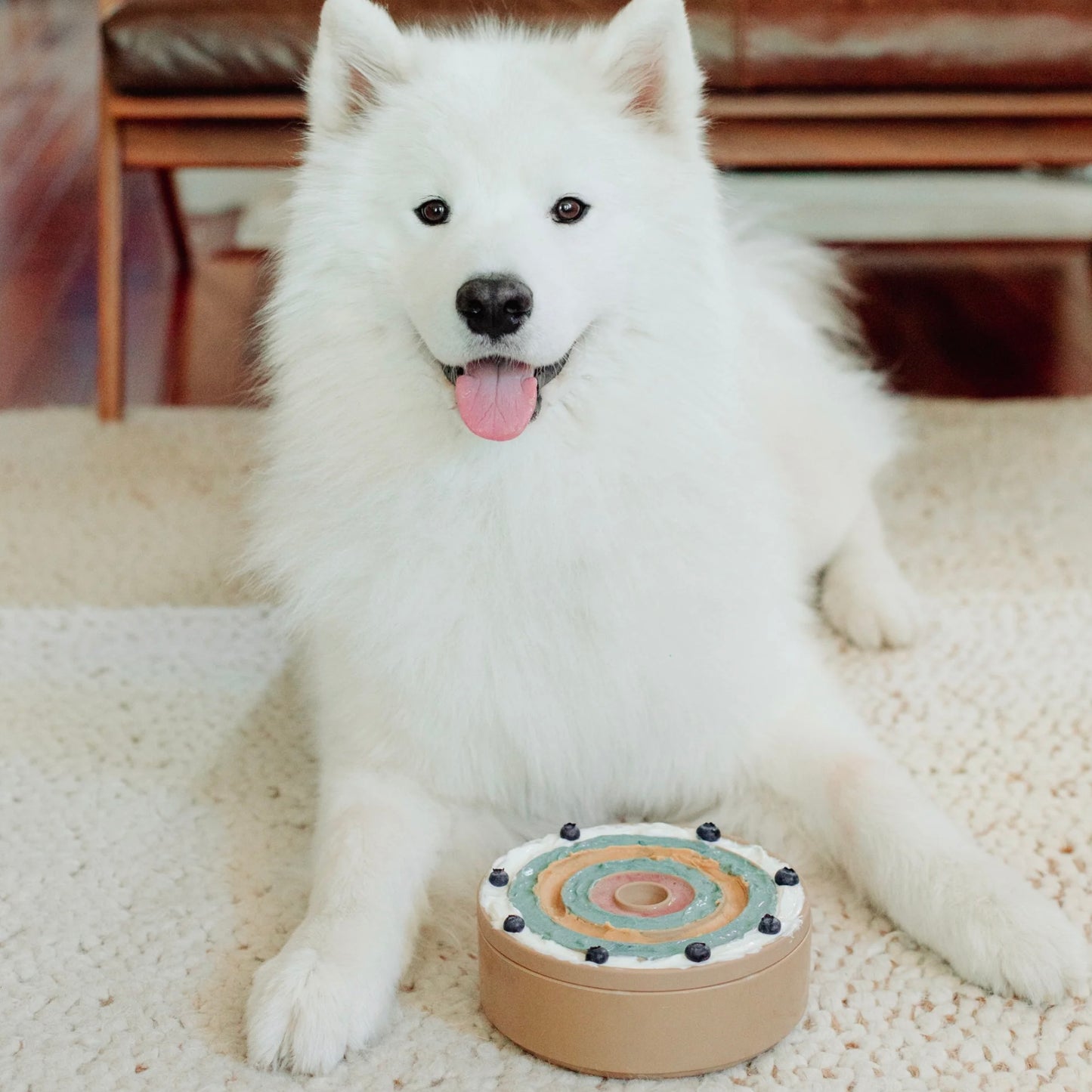 3-IN-1 Bento Bowl Dunes