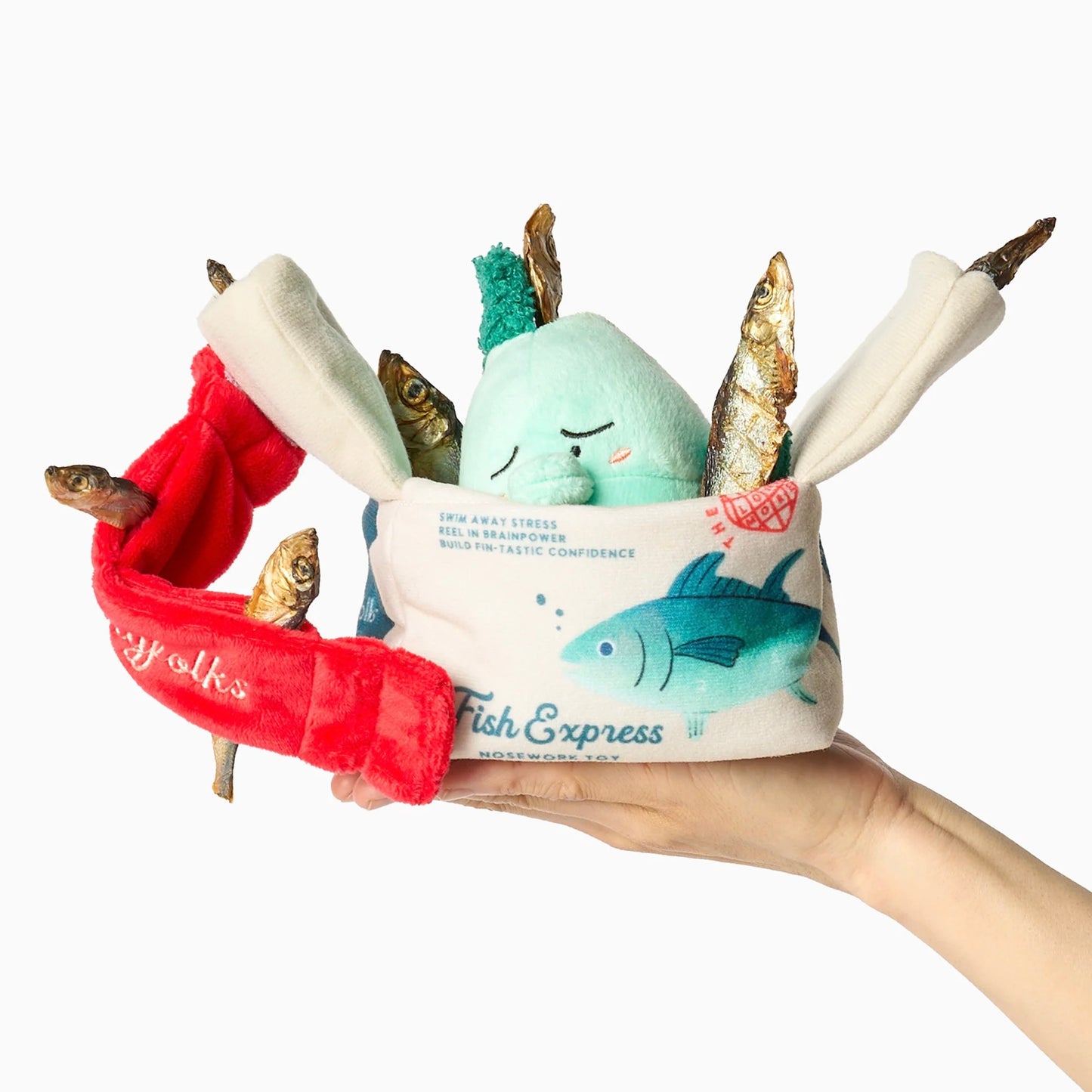 Fish Express Nosework Toy
