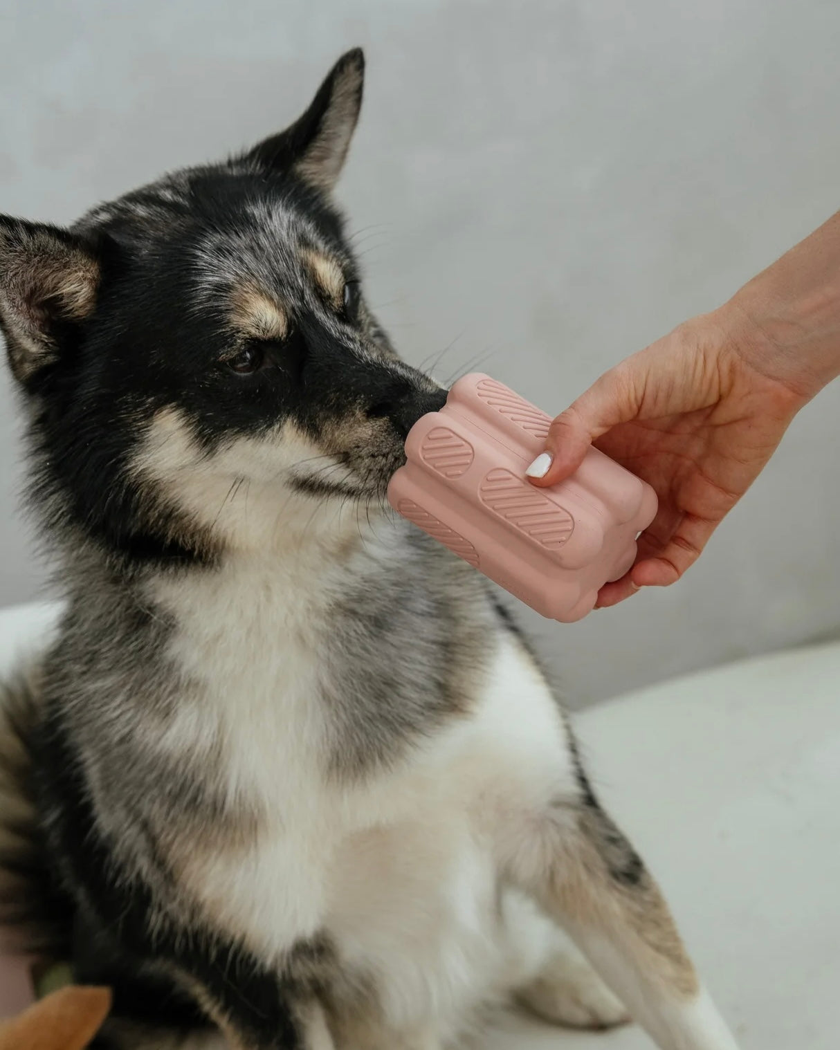 Aggressive Teething & Enrichment Toy Blush Pink