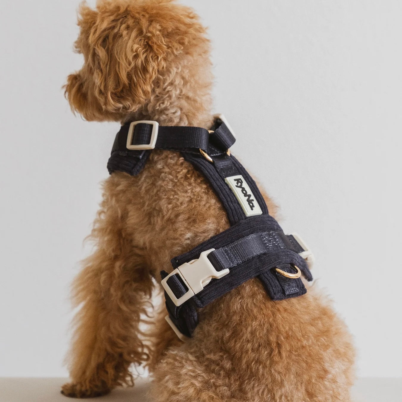 Soft Ribbed Velour Y-Design Dog Harness Navy Blue