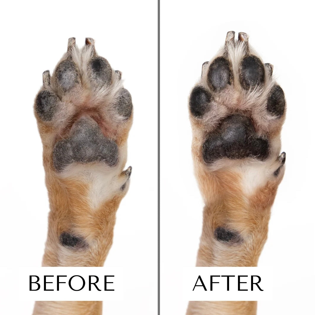 Moisturizing Serum for Paws and Nose