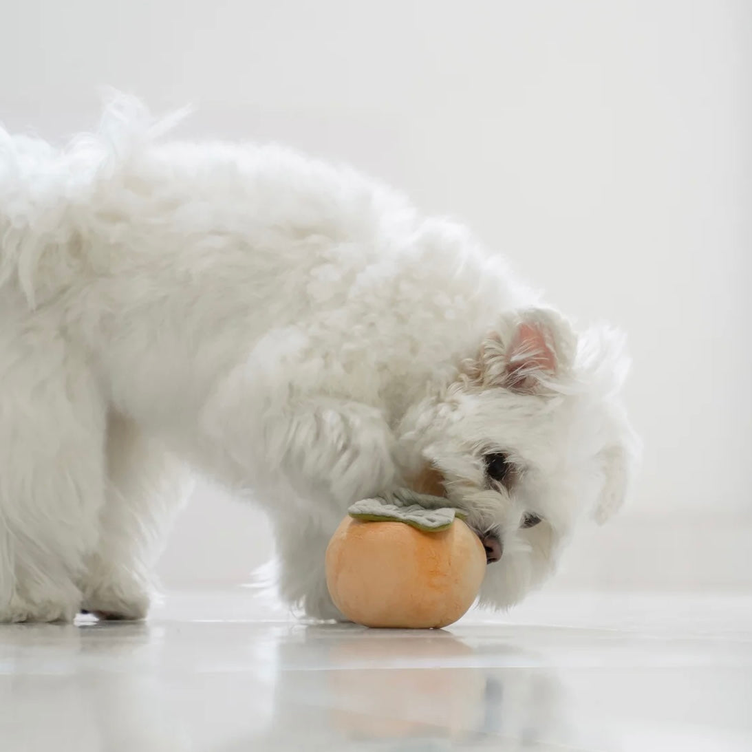 Persimmon snuffle dog toy