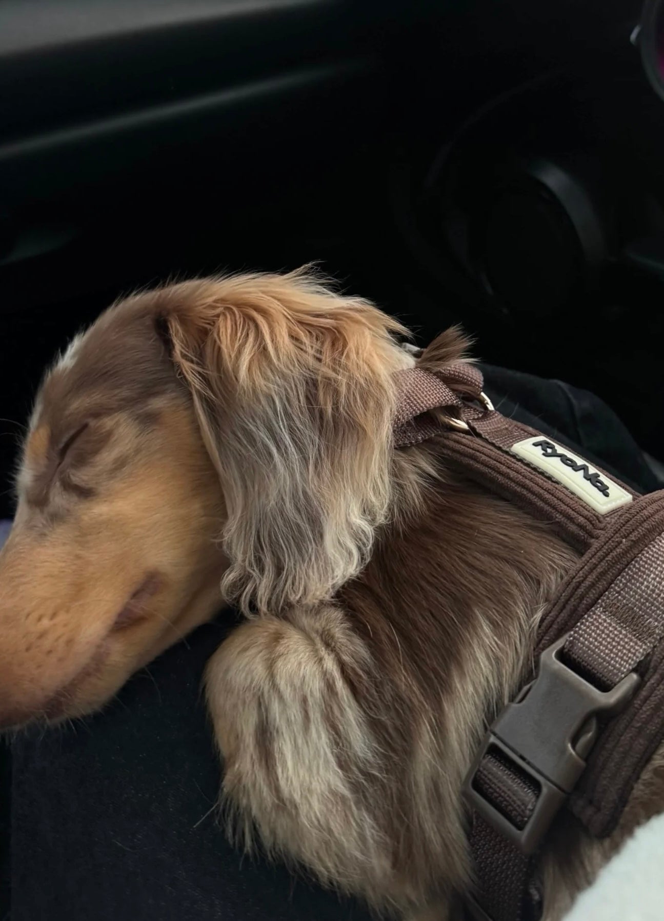 Soft Ribbed Velour Y-Design Dog Harness Brown