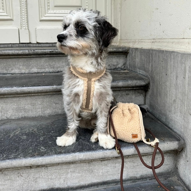 Teddy Treat Bag