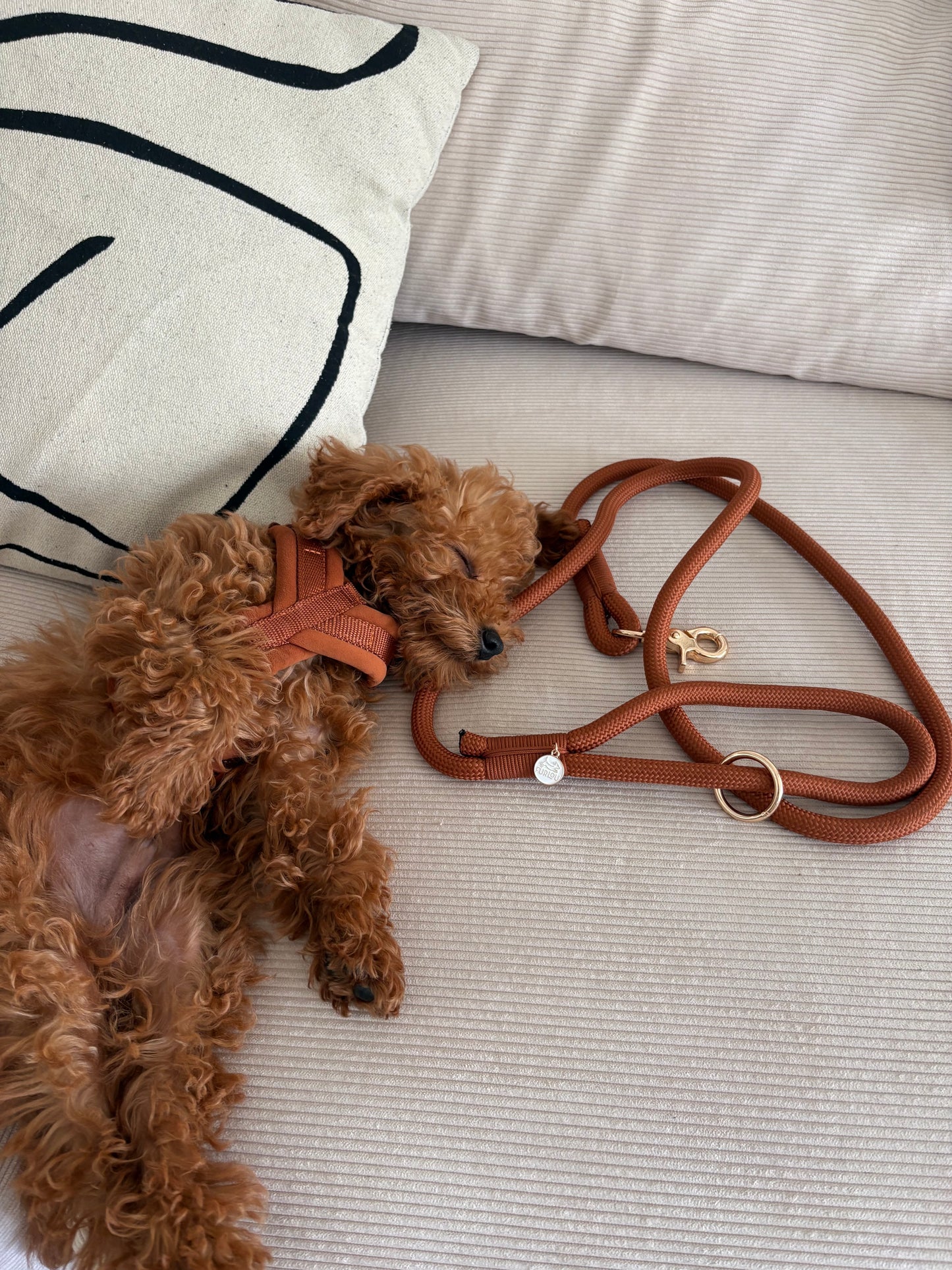 Hands Free Braided Leash clay