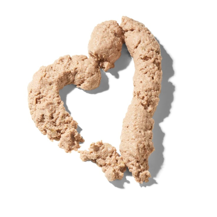 FRED Chicken Cream Snack
