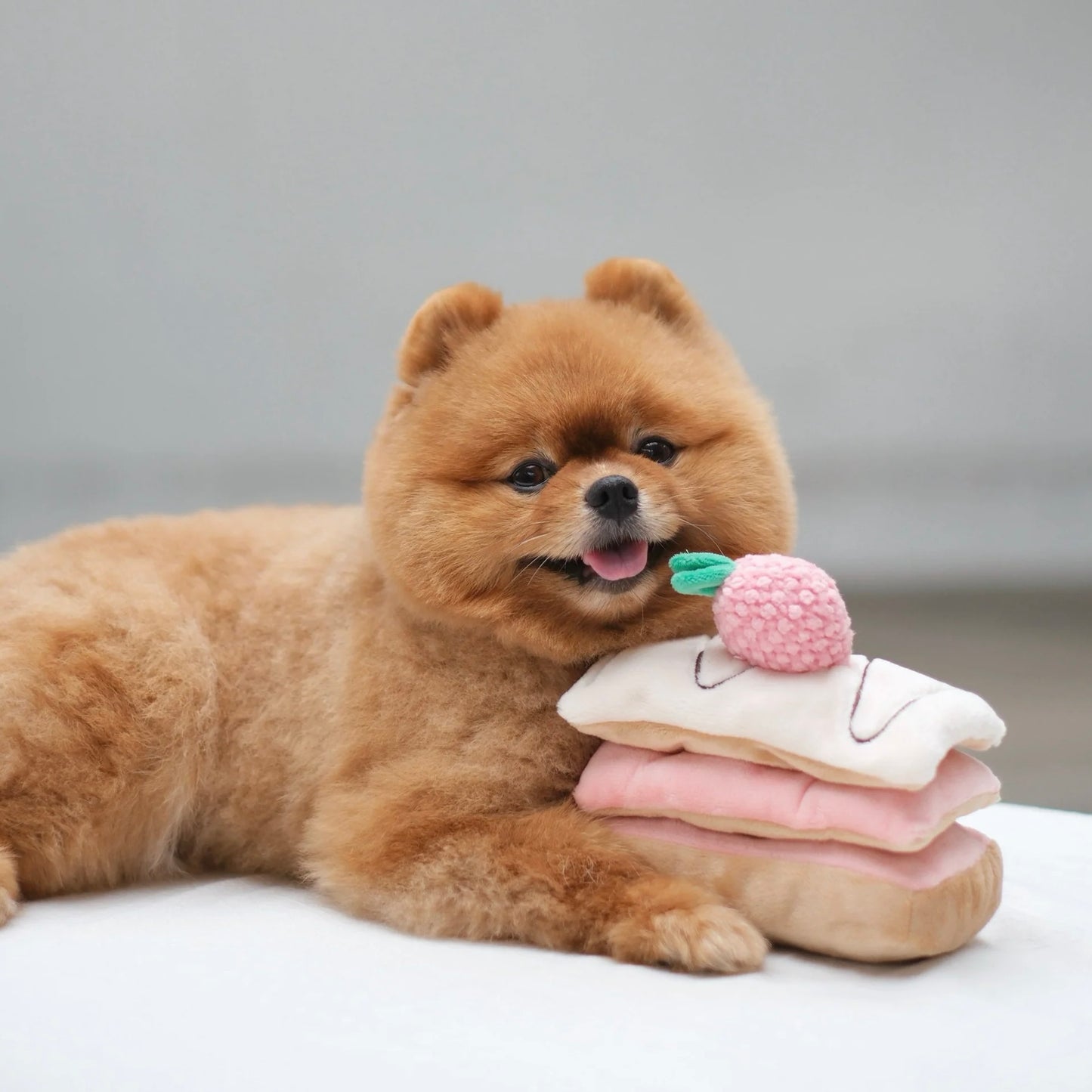 Strawberry Mille-Feuille Nosework Toy