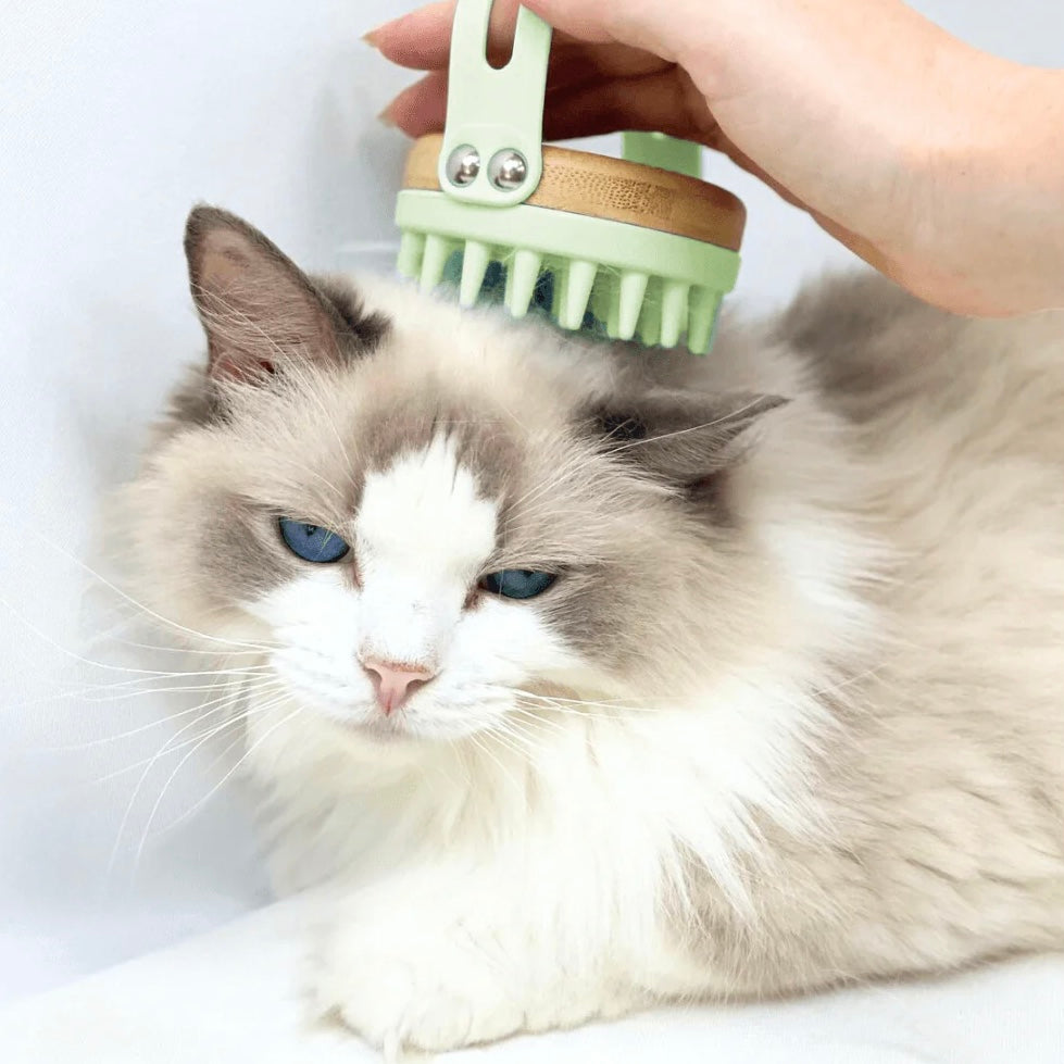 Bamboo brush for dog & cat