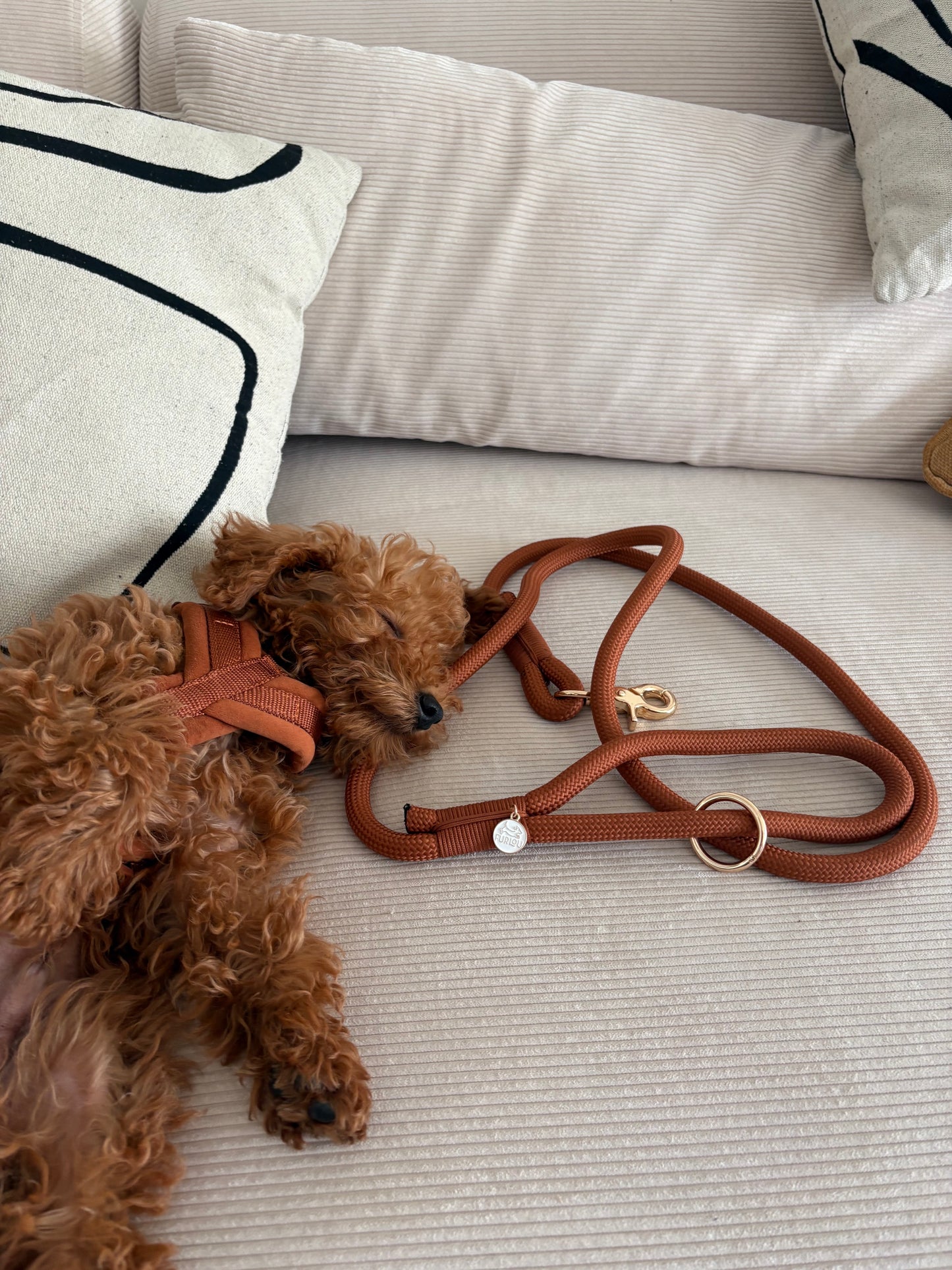 Velvet Dog Harness clay