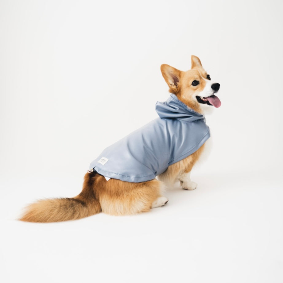 Dog Raincoat blue