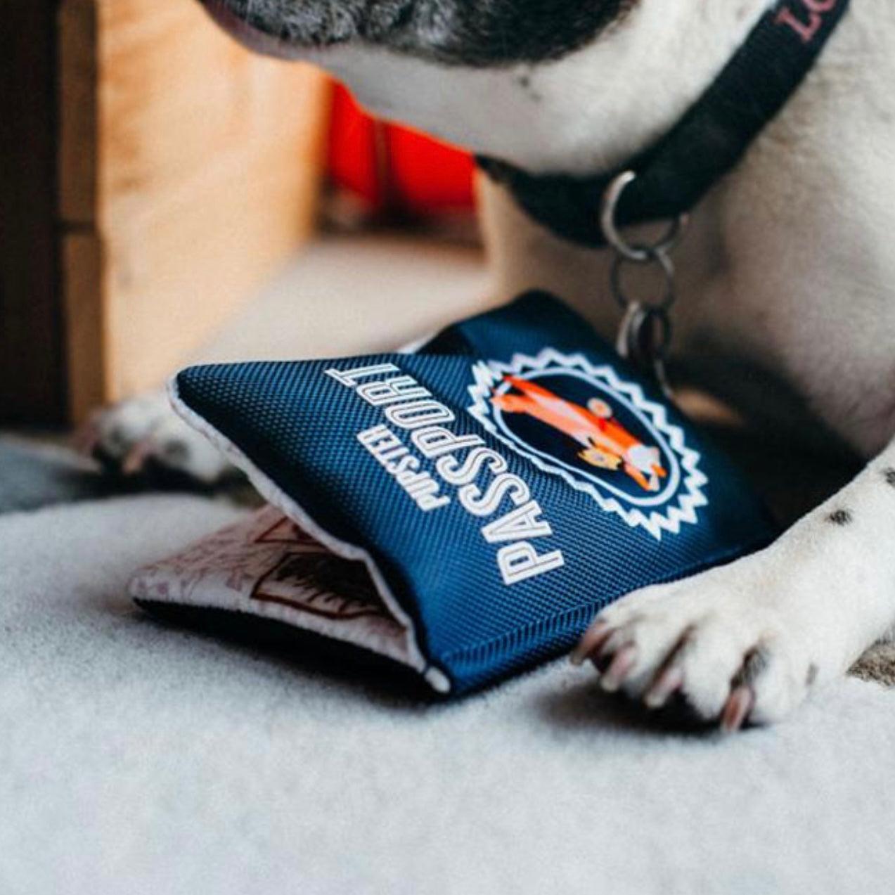 Pupster Passport plush toy D O G E S T