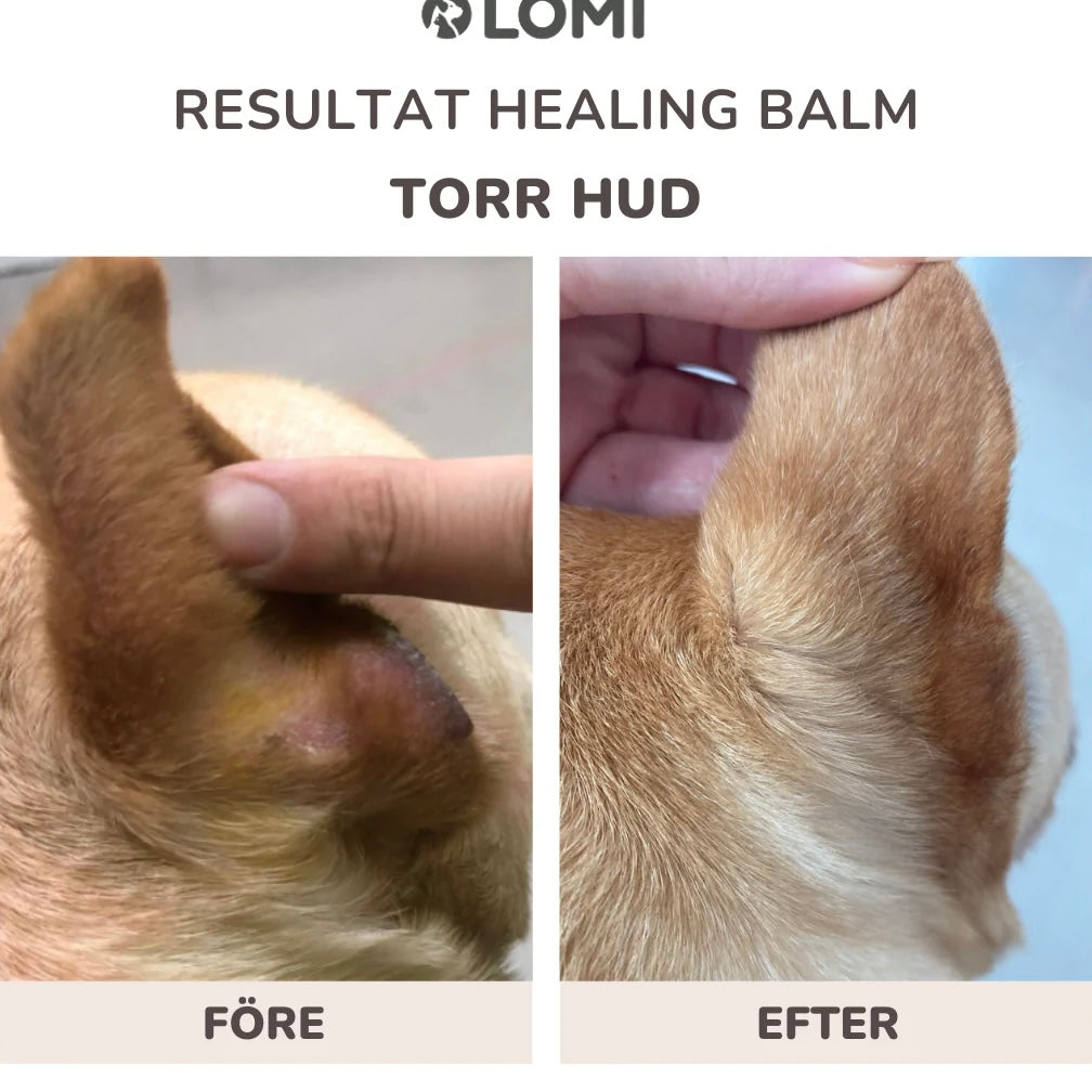 Healing Balm - For Dogs & Cats