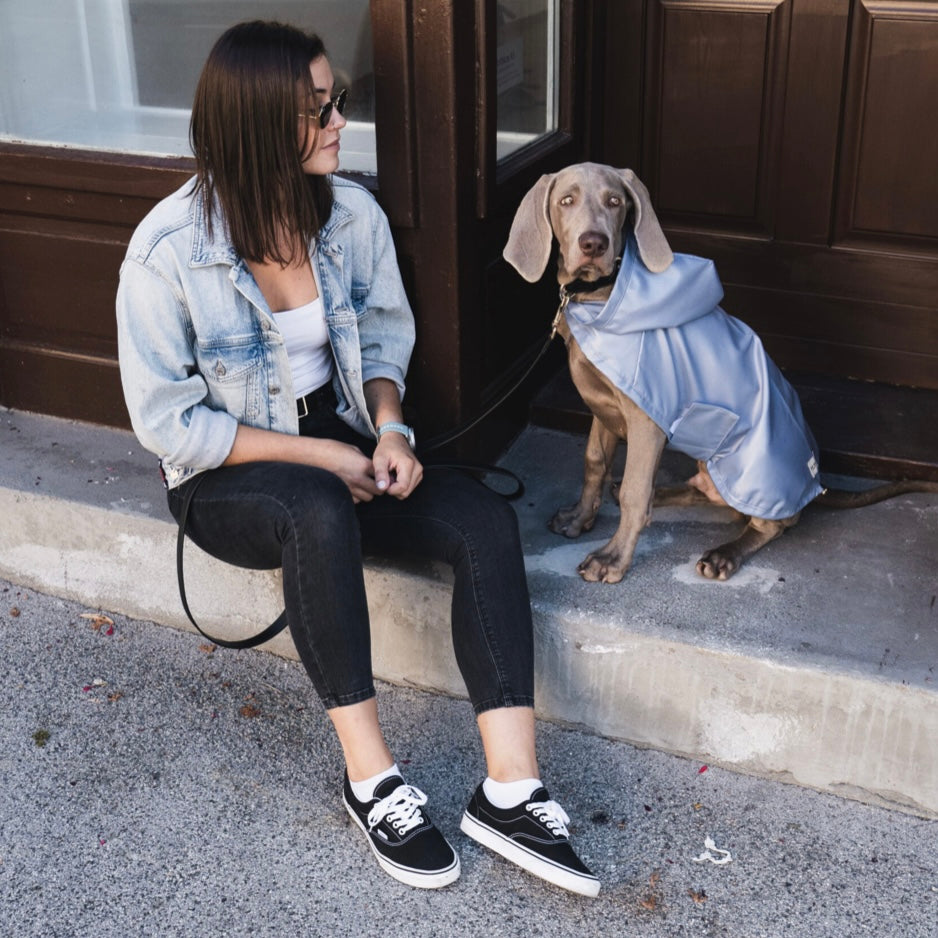 Dog Raincoat blue