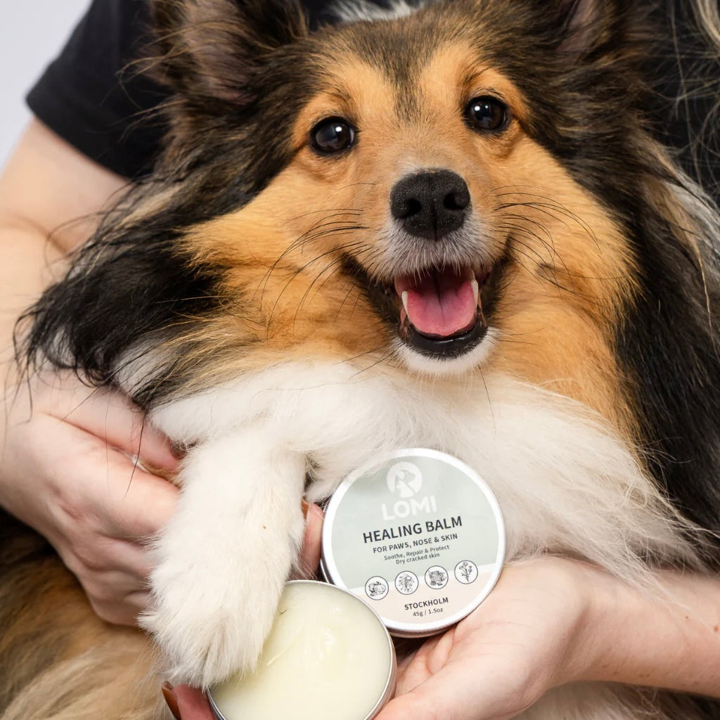 Healing Balm - For Dogs & Cats