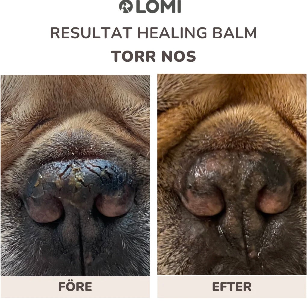 Healing Balm - For Dogs & Cats